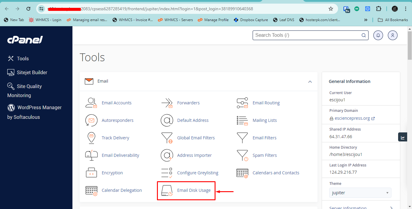 Email disk usage in cpanel